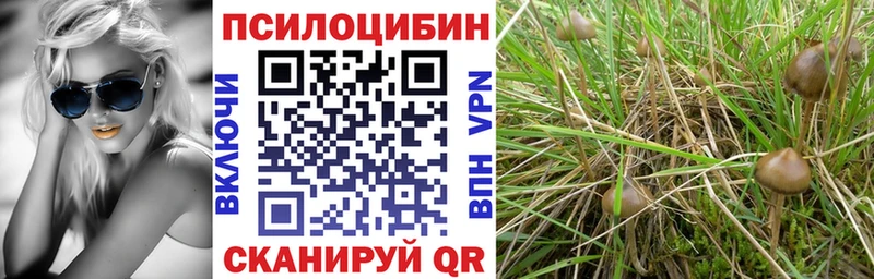 цены   Томилино  Галлюциногенные грибы ЛСД 